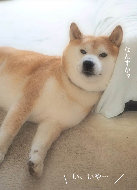 12日ブログ3