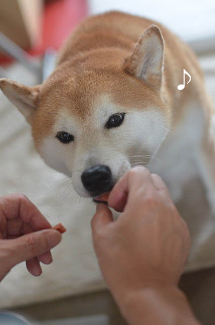 6日ブログ3