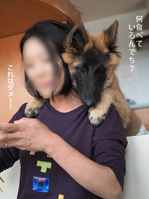 17日ブログ9