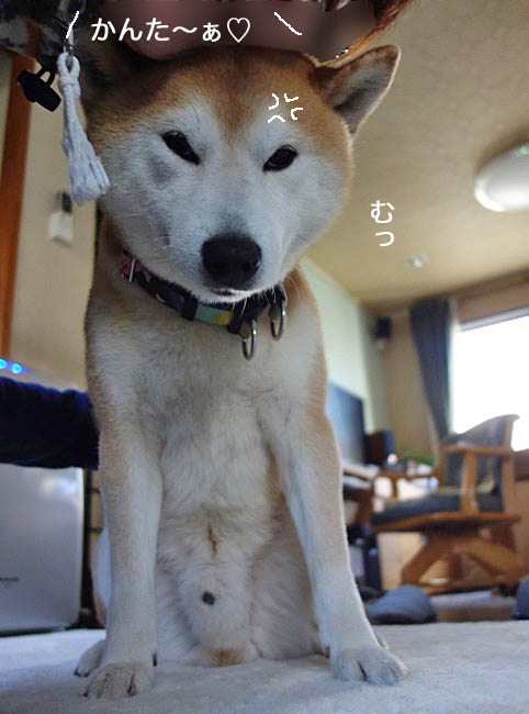 5日午後ブログ７