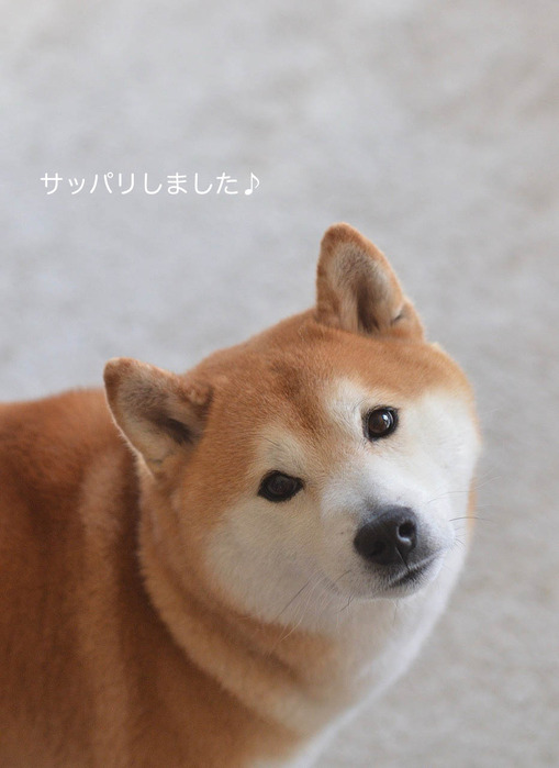 16日ブログ6