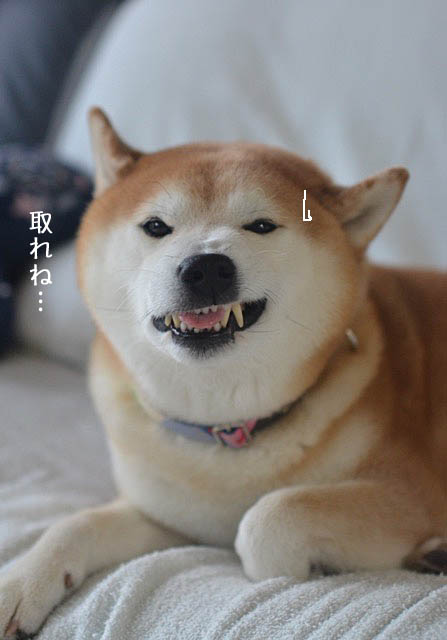 9日ブログ6