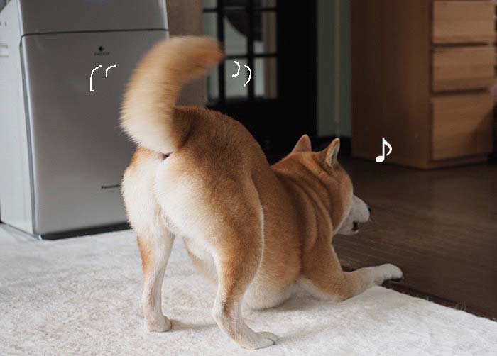 2日午後ブログ２