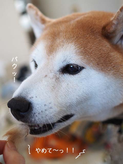 15日ブログ6