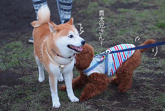 3日ブログ4