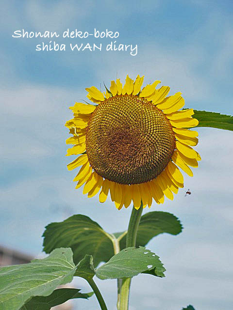 22日ブログ1
