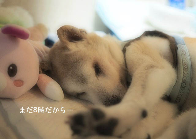 22日ブログ4