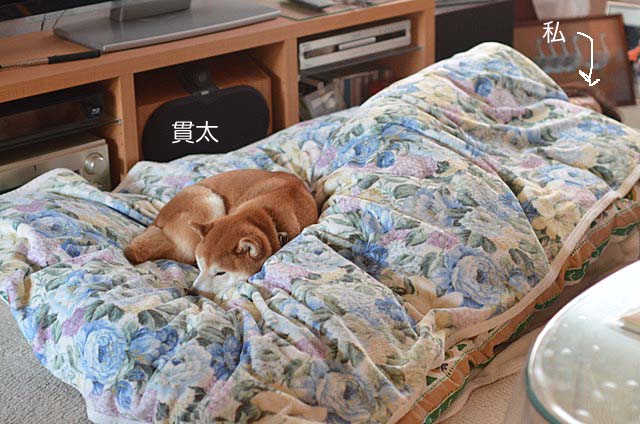 16日ブログ2