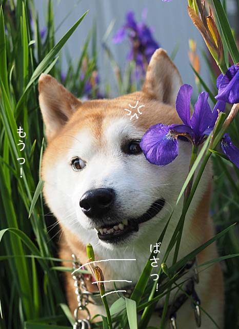 17日ブログ5