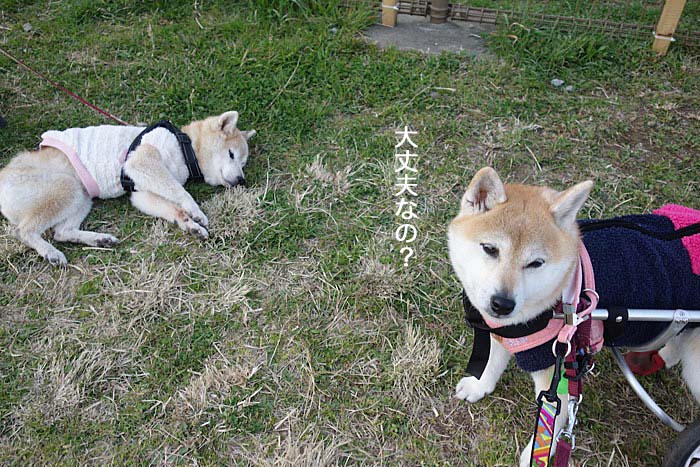 1日午後ブログ５