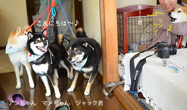 18日ブログ3