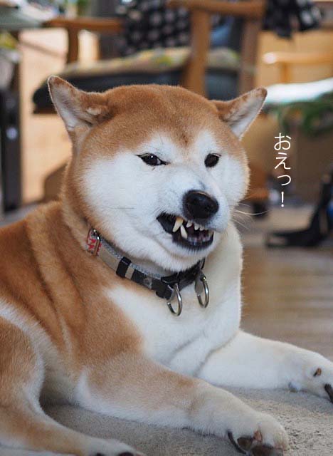 12日ブログ9