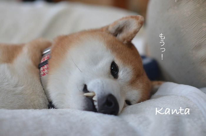 21日ブログ8