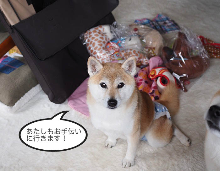 13日ブログ３