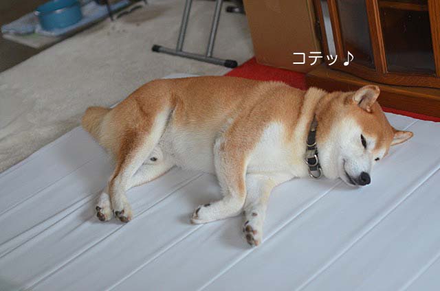 8日ブログ6