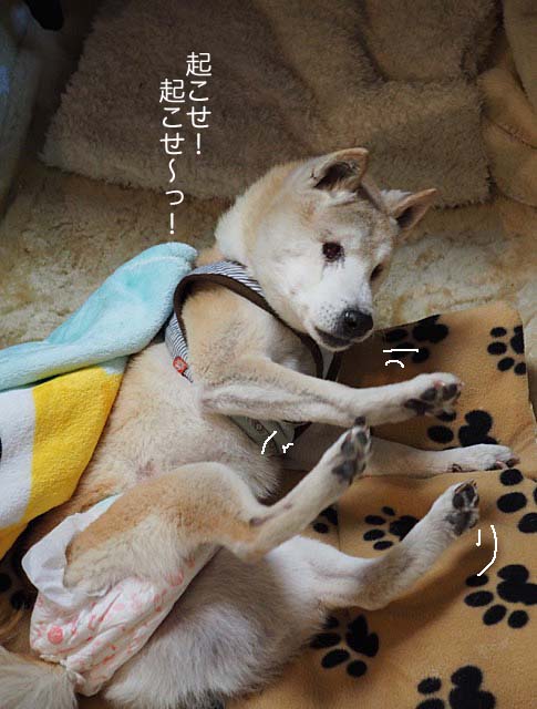 20日ブログ7