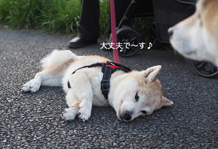 4日ブログ３