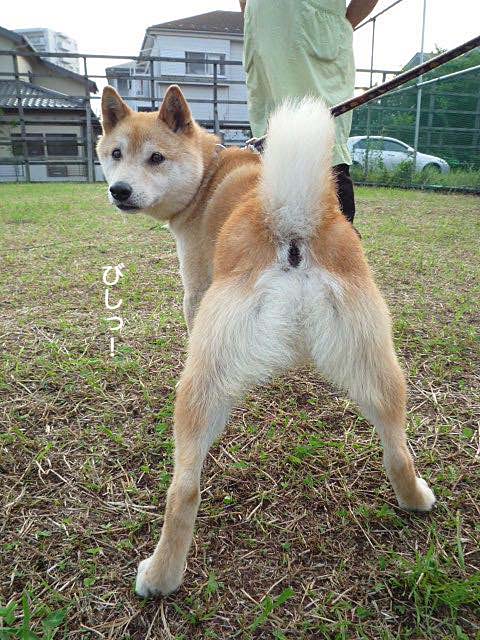 13日ブログ7