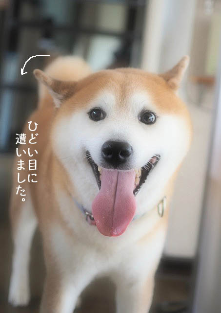 9日ブログ7