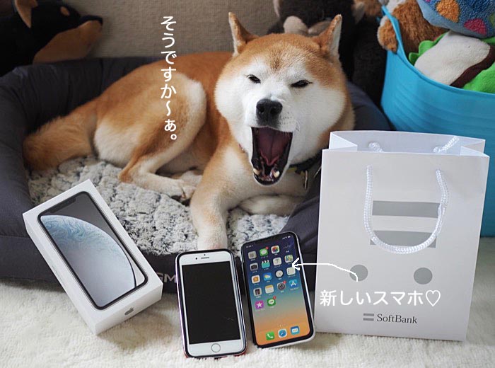 7日ブログ７