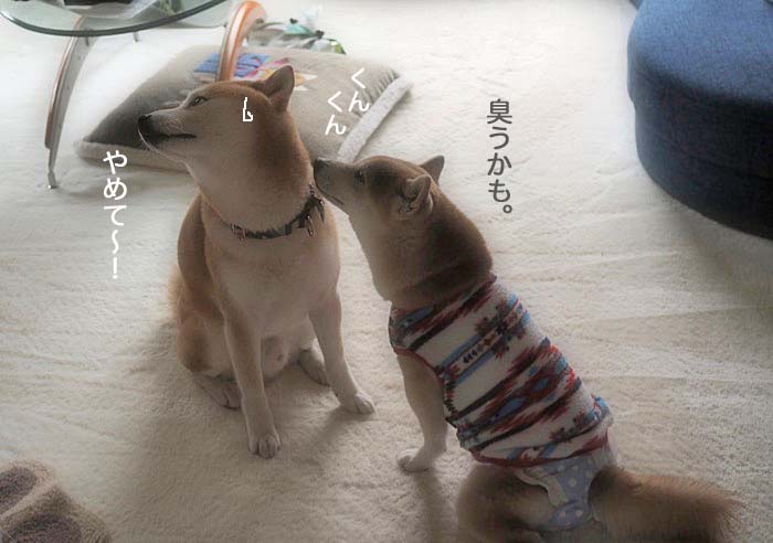 5日午後ブログ５