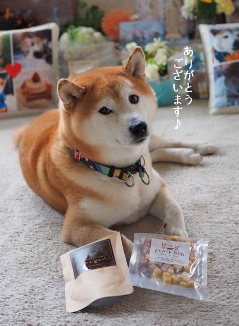28日ブログ6