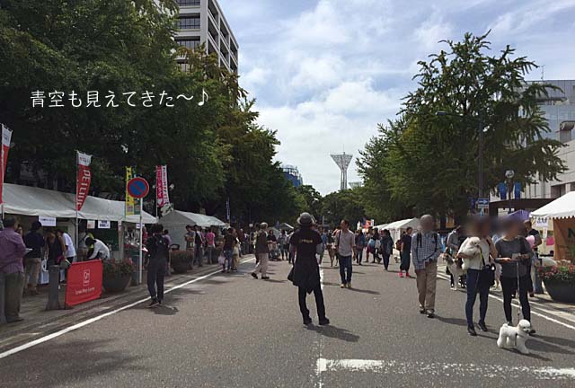 30日ブログ3