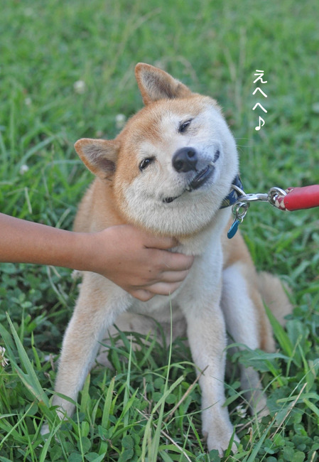 13日ブログ9