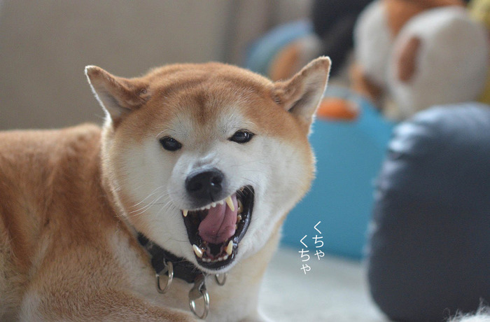 14日ブログ6