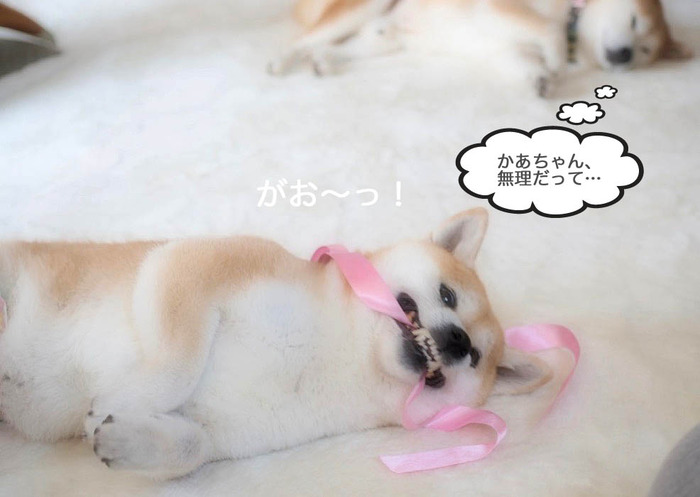 14日ブログ12