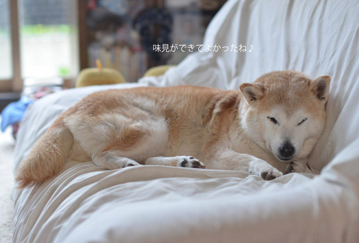 11日モニターブログ6