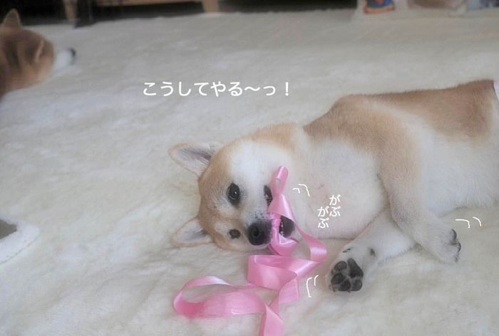 14日ブログ8
