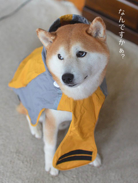 9日ブログ10