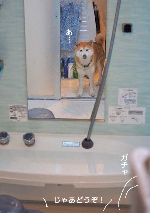 14日ブログ７