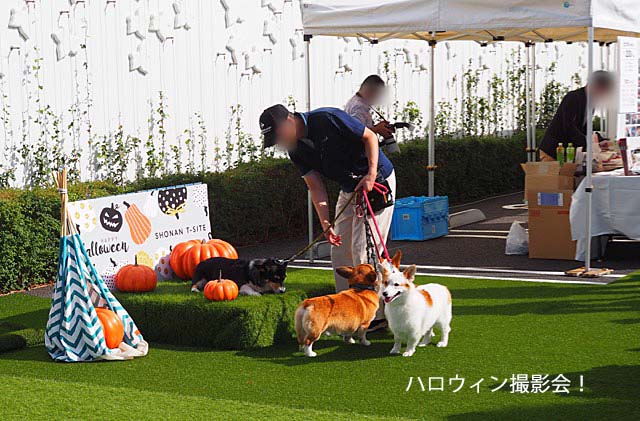29日ブログ13