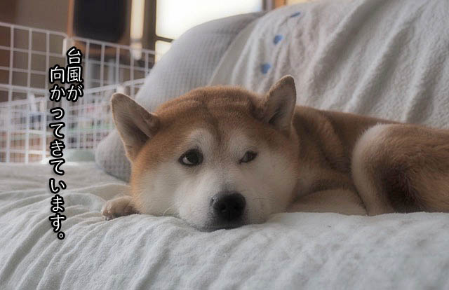 22日ブログ2