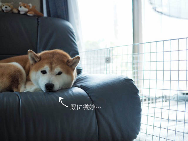 7日ブログ6