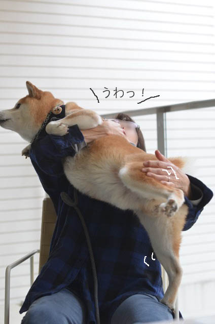 8日ブログ8
