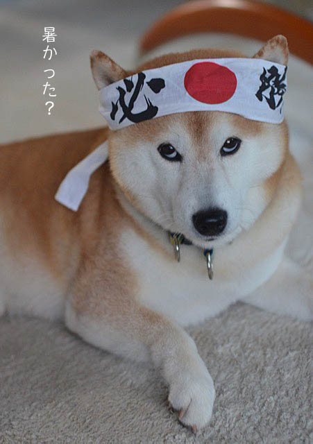 7日ブログ4