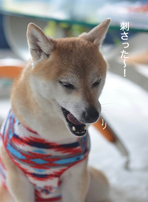 24日ブログ３