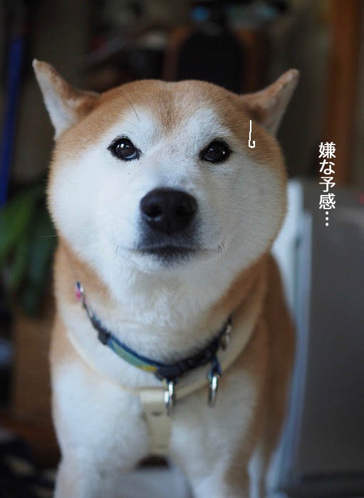 8日ブログ２