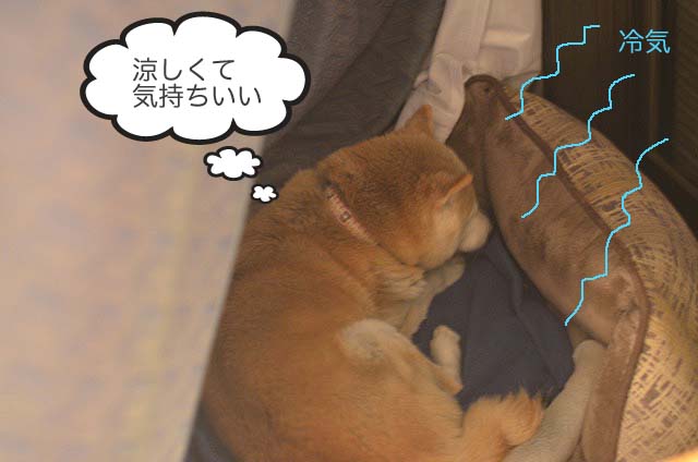15日ブログ4