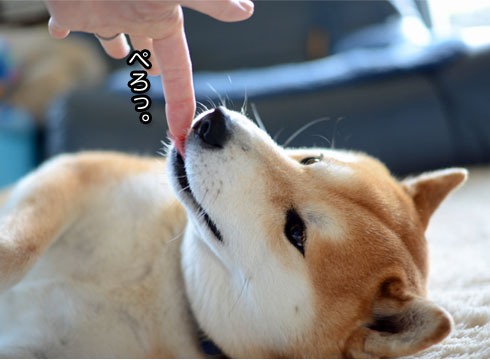 30日ブログ8.jpg