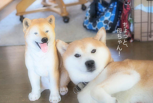 4日ブログ6