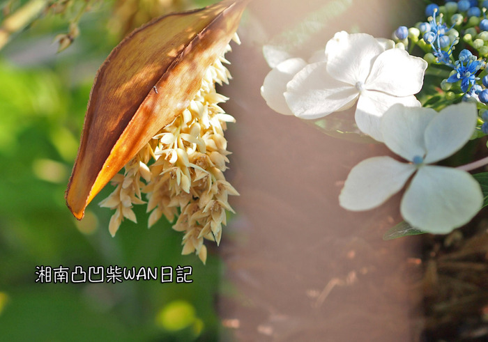 6日ブログ1