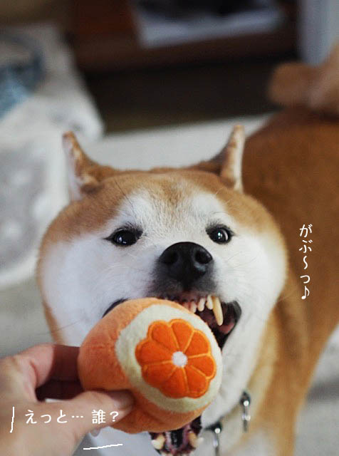28日ブログ9
