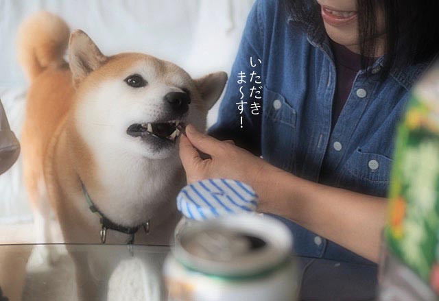 8日ブログ4