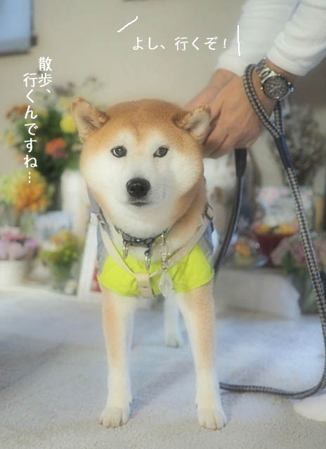 6日ブログ7