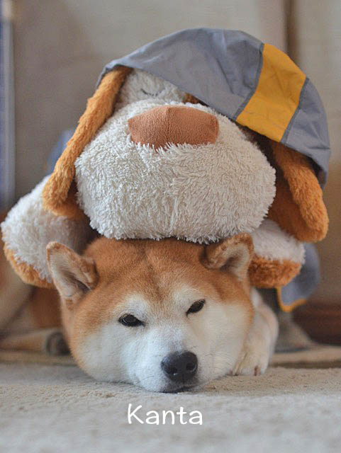 9日ブログ14
