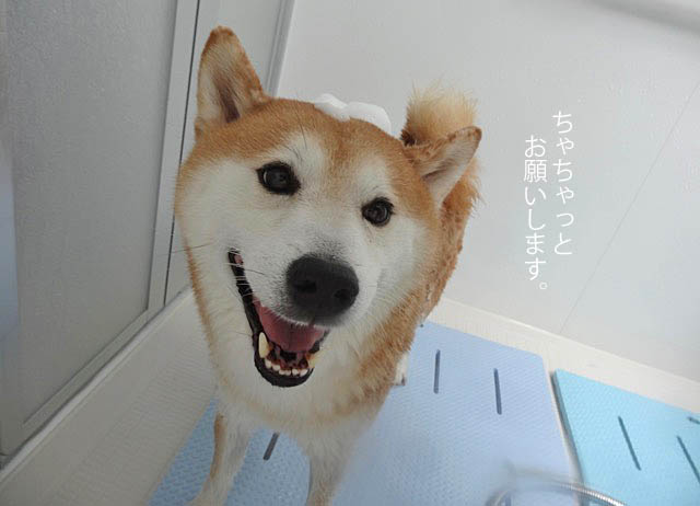 16日ブログ3